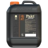 pakt-e1642754427562-388x504 png